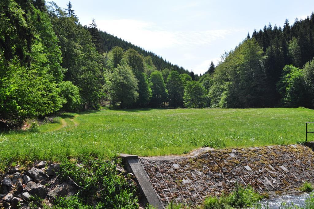 Apartments Und Bistro Zum Glasmacher Gehlberg Buitenkant foto