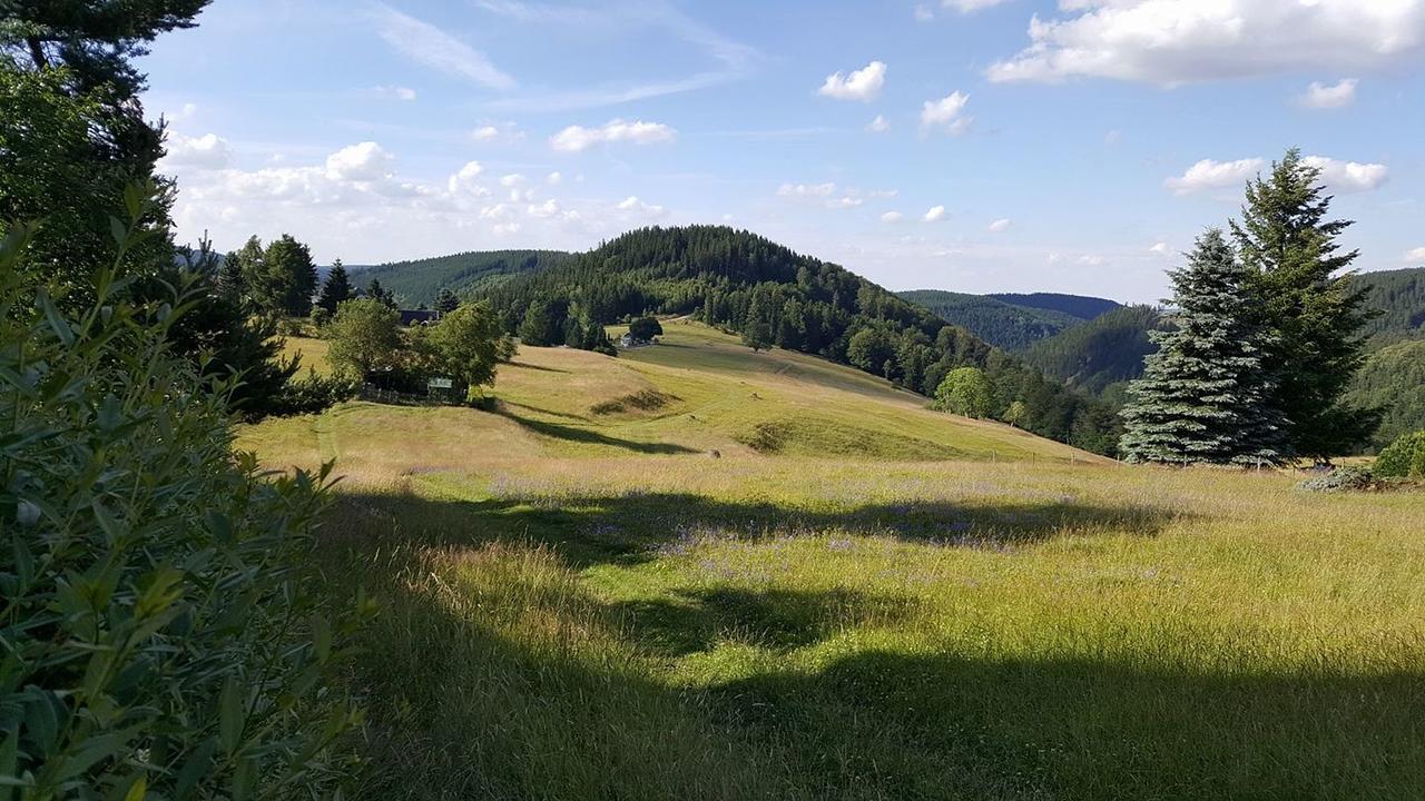 Apartments Und Bistro Zum Glasmacher Gehlberg Buitenkant foto